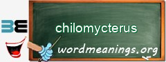 WordMeaning blackboard for chilomycterus